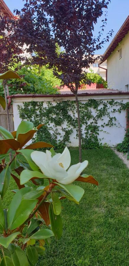 Casa Mir Hotel Năvodari Kültér fotó
